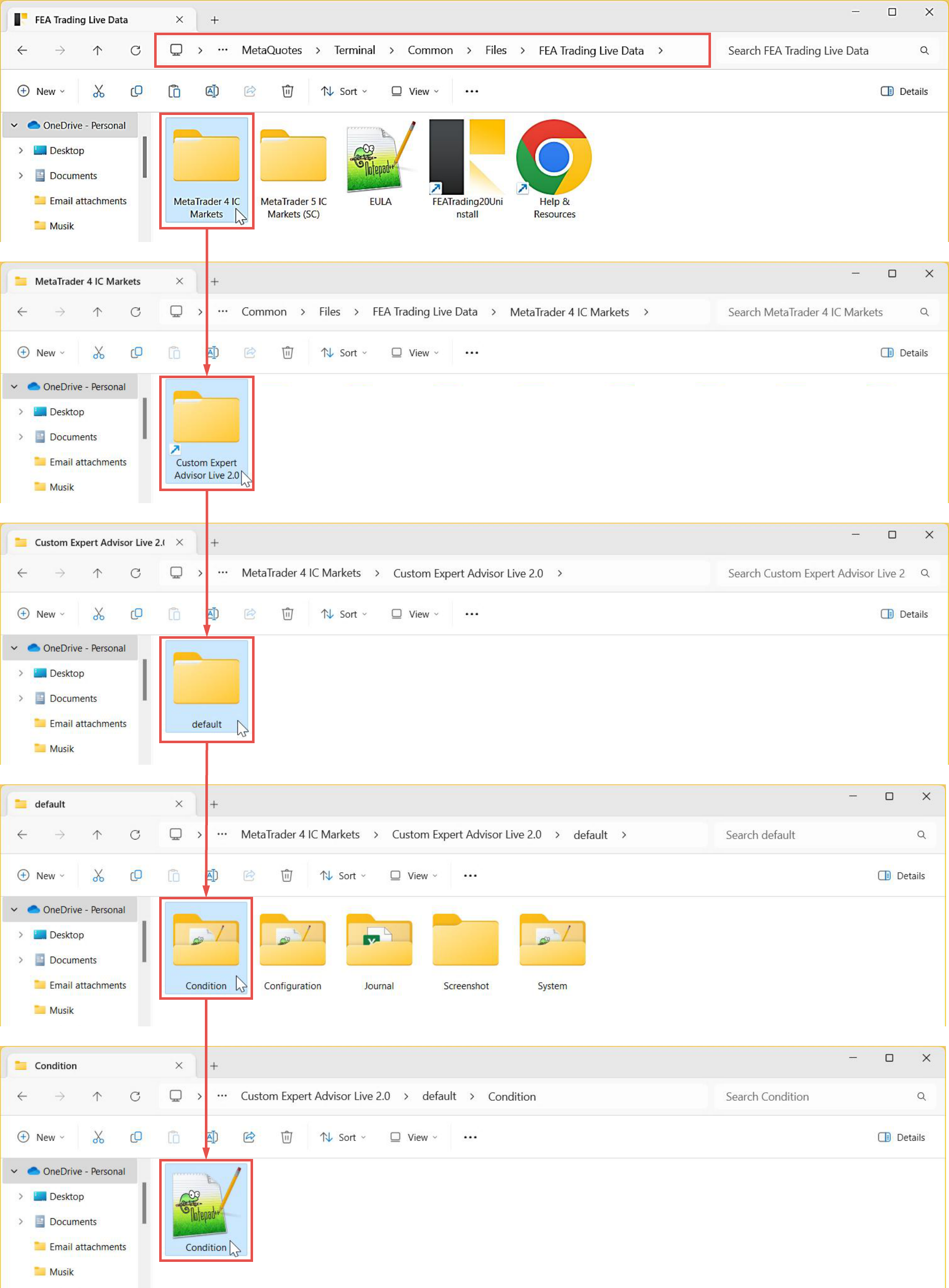 File Input, Condition, Folder path and data organization for live variant.png