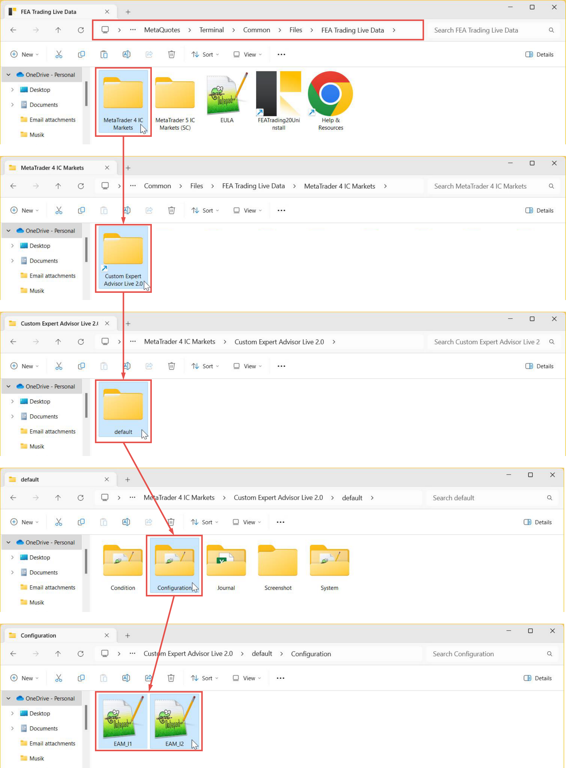 File Input, Configuration, Folder path and data organization for live variant.png