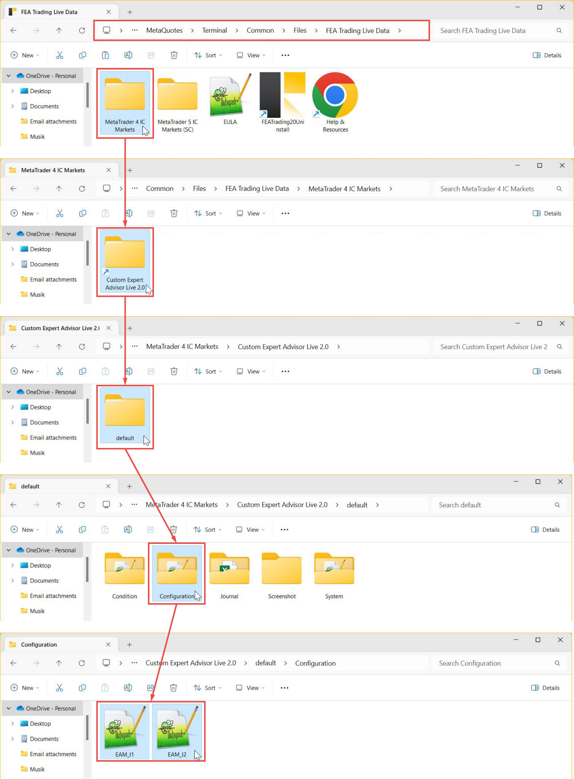 File Input, Configuration, Folder path and data organization for live variant.png