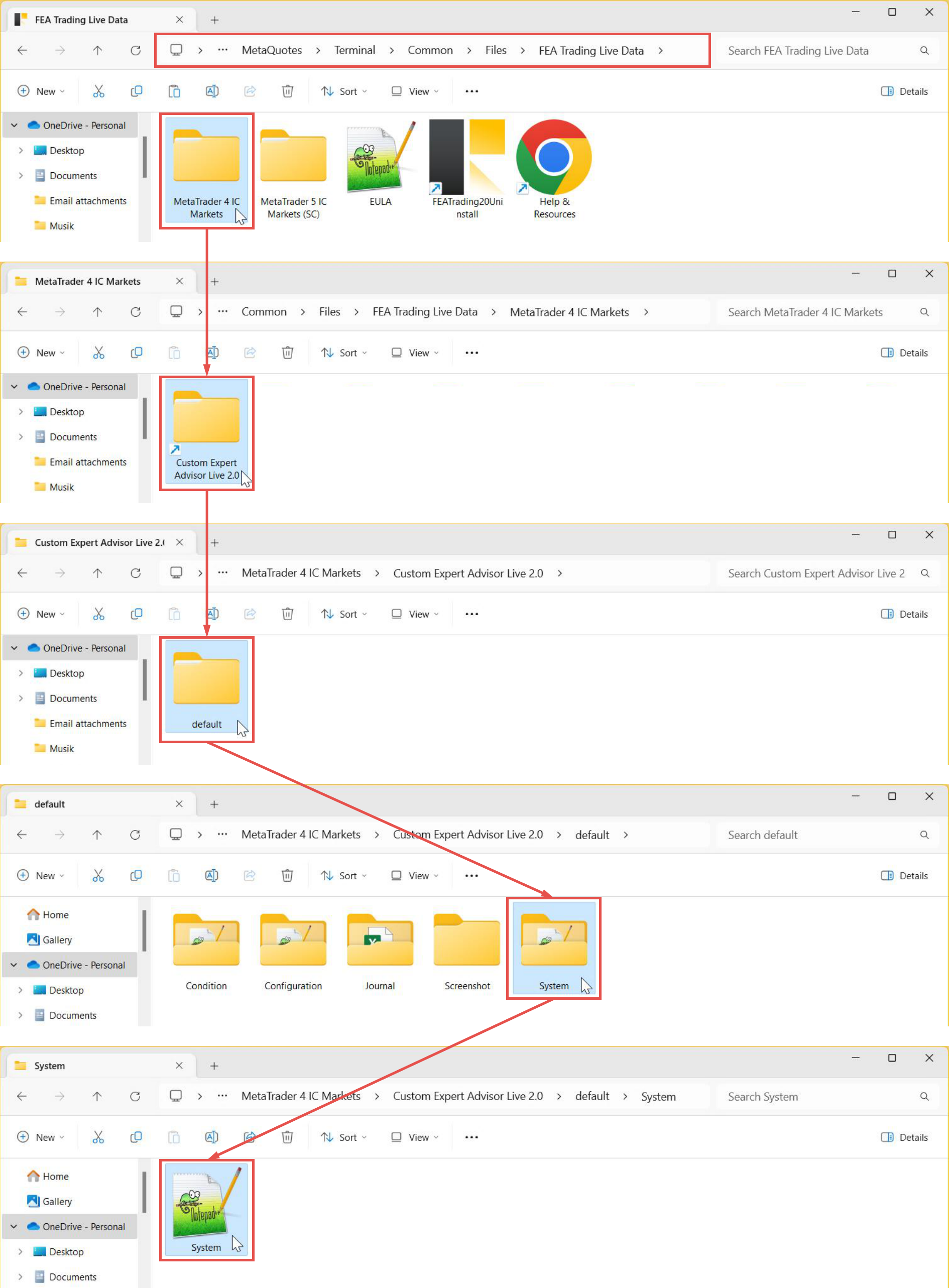 File Input, System, Folder path and data organization for live variant.png