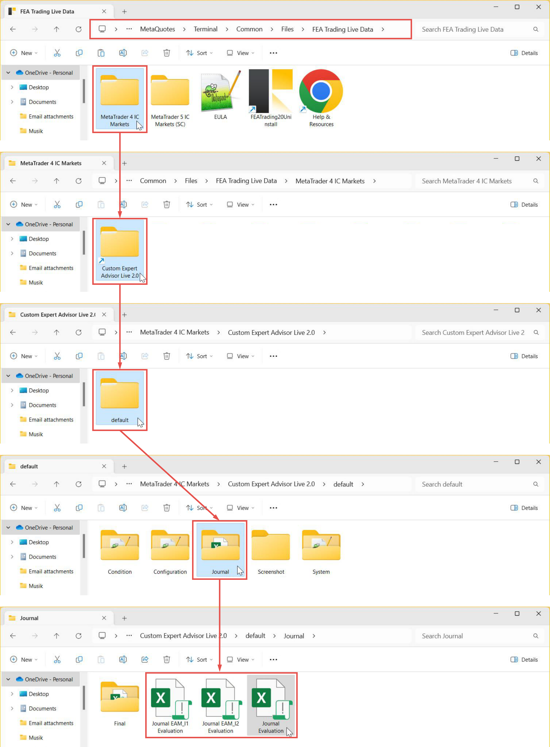 File Output, Journal, Folder path and data organization for live variant.png