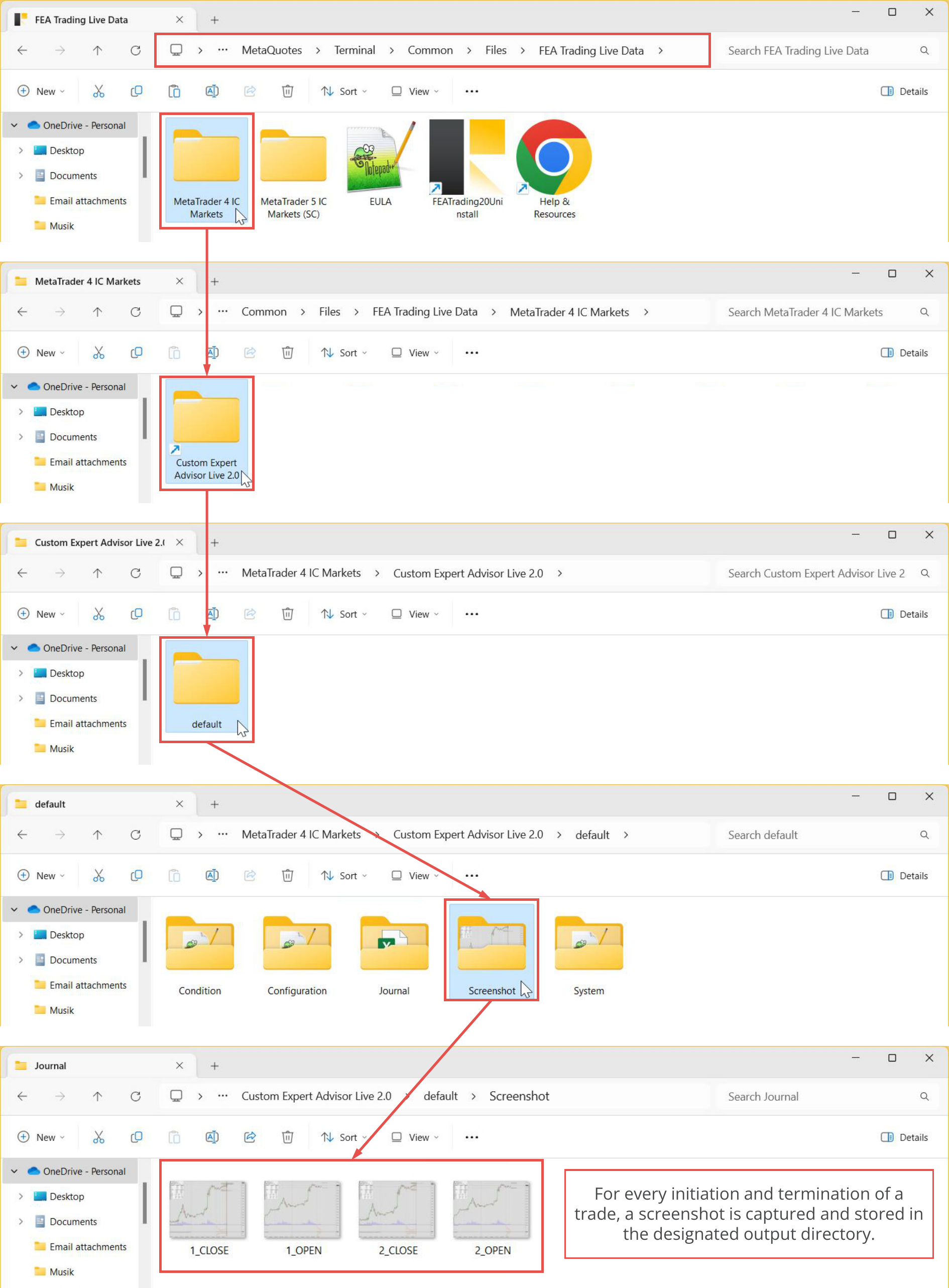 File Output, Screenshot, Folder path and data organization for live variant.png